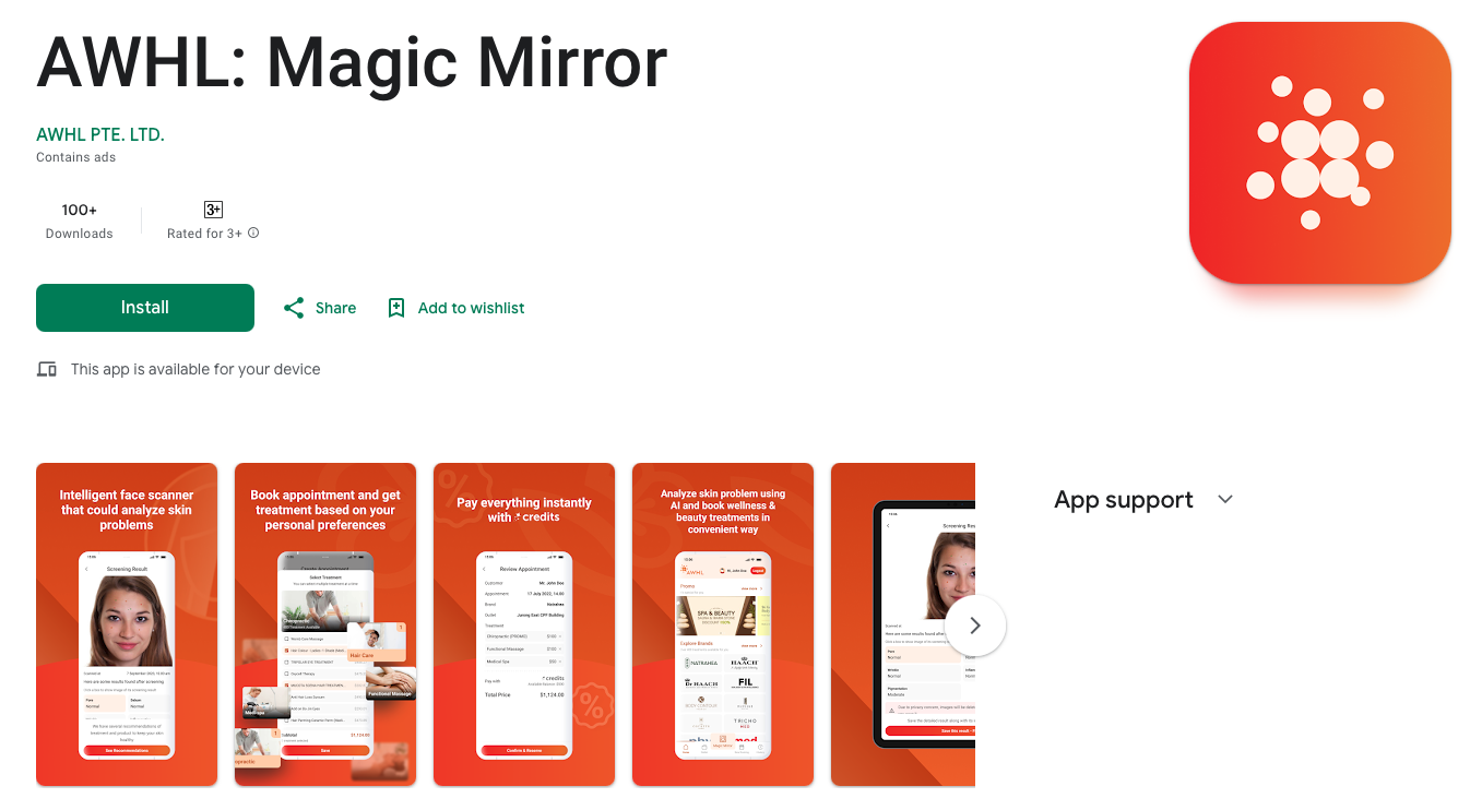 AWHL: Magic Mirror